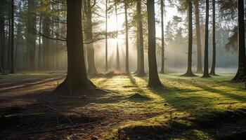 AI generated Tranquil scene autumn beauty in nature, mysterious fog surrounds forest generated by AI photo