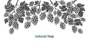 Set of hop. Vector botany border. Bio beverage. Art illustration, nature pattern on white background. Herbal cone, leaf, branch. Simple organic design for beer print, pub.