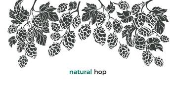 conjunto de brincar. vector botánica borde. bio bebida. Arte ilustración, naturaleza modelo en blanco antecedentes. herbario cono, hoja, rama. sencillo orgánico diseño para cerveza imprimir, pub.