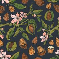 Almond print. Vector vintage color illustration