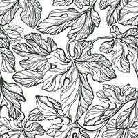 Foliage seamless pattern. Vector texture leaf. Botanical art hand drawn vintage illustration. Graphic simple camouflage. Abstract monochrome print. Figs tree