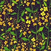 Vector flower seamless pattern. Canola set, mustard plant. Color green leaf, bud, seed, yellow flora. Retro fashion print. Summer field in bloom, art textile background