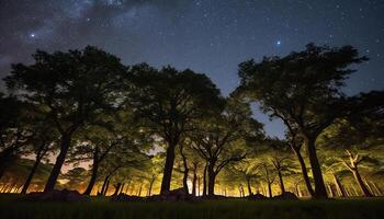 ai generado silueta de árbol en oscuro bosque, iluminado por las estrellas noche, misterioso belleza generado por ai foto