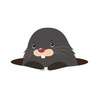 Illustration of a mole popping out of a hole on a white and transparent background. Flat. vector