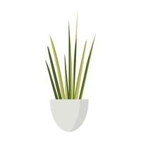 Indoor Houseplant Trifasciata In A Pot Flat Decorative Illustration vector