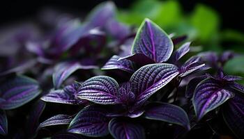 ai generado frescura y belleza en naturaleza púrpura flor, cerca arriba, hoja generado por ai foto