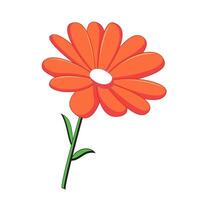 Transvaal Daisy Icon vector