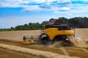 Great combine harvester working at the field. Agricultural machine on the blue sky. photo