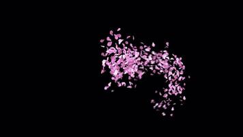 Animated Sakura Petals text letters typeface with alpha channel the character 1 video