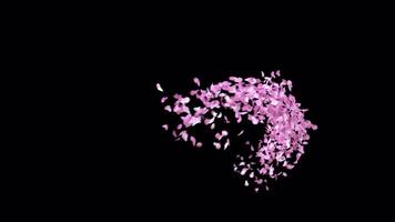 Animated Sakura Petals text letters typeface with alpha channel the character A video