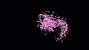 Animated Sakura Petals text letters typeface with alpha channel the character J video