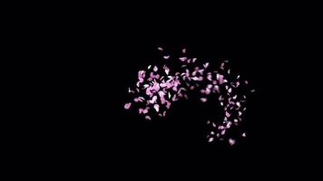 Animated Sakura Petals text letters typeface with alpha channel the character full stop video