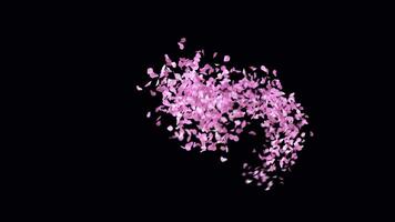 Animated Sakura Petals text letters typeface with alpha channel the character Q video