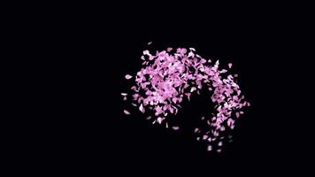 Animated Sakura Petals text letters typeface with alpha channel the character V video