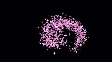 Animated Sakura Petals text letters typeface with alpha channel the character GBP video