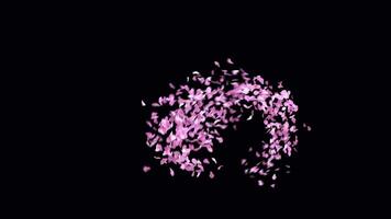 Animated Sakura Petals text letters typeface with alpha channel the character question mark video