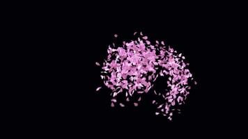 Animated Sakura Petals text letters typeface with alpha channel the character U video