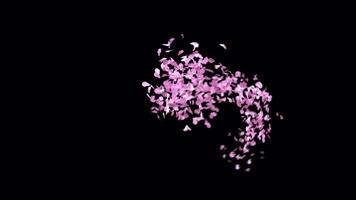 Animated Sakura Petals text letters typeface with alpha channel the character T video