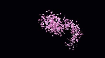 Animated Sakura Petals text letters typeface with alpha channel the character 7 video