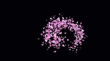 Animated Sakura Petals text letters typeface with alpha channel the character I video