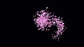 animiert Sakura Blütenblätter Text Briefe Schrift mit Alpha Kanal das Charakter Schrägstrich video