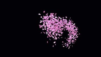 Animated Sakura Petals text letters typeface with alpha channel the character O video