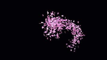 Animated Sakura Petals text letters typeface with alpha channel the character 9 video