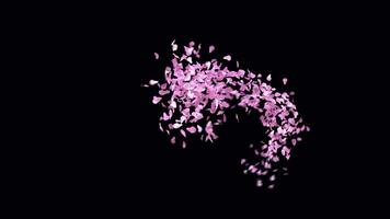 Animated Sakura Petals text letters typeface with alpha channel the character 9 video