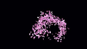 Animated Sakura Petals text letters typeface with alpha channel the character 2 video