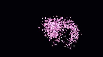 Animated Sakura Petals text letters typeface with alpha channel the character K video