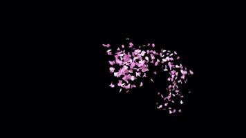 Animated Sakura Petals text letters typeface with alpha channel the character tilde video