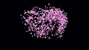 Animated Sakura Petals Heart shaped frame with alpha channel video