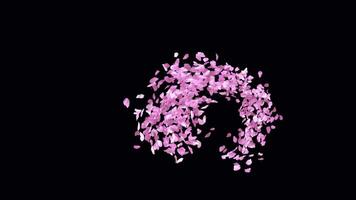 Animated Sakura Petals text letters typeface with alpha channel the character 5 video