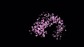 Animated Sakura Petals text letters typeface with alpha channel the character exclamation point video