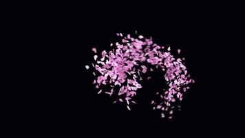 Animated Sakura Petals text letters typeface with alpha channel the character 8 video