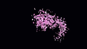 Animated Sakura Petals text letters typeface with alpha channel the character Z video