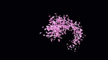 Animated Sakura Petals text letters typeface with alpha channel the character Y video