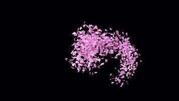 Animated Sakura Petals text letters typeface with alpha channel the character hashtag video