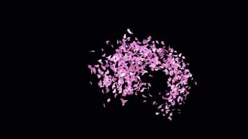 Animated Sakura Petals text letters typeface with alpha channel the character B video