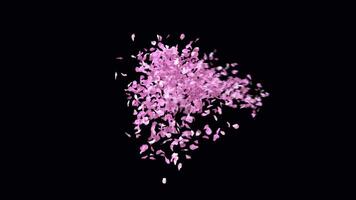 Animated Sakura Petals text letters typeface with alpha channel the character USD video