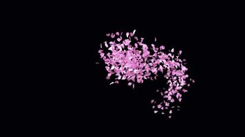 Animated Sakura Petals text letters typeface with alpha channel the character I video