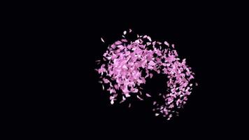 Animated Sakura Petals text letters typeface with alpha channel the character W video