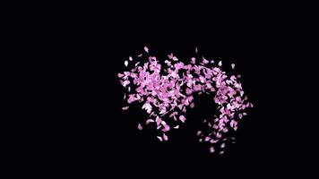 Animated Sakura Petals text letters typeface with alpha channel the character 6 video