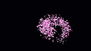 Animated Sakura Petals text letters typeface with alpha channel the character X video