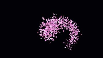 Animated Sakura Petals text letters typeface with alpha channel the character F video