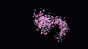 Animated Sakura Petals text letters typeface with alpha channel the character 0 video