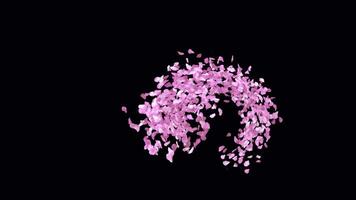 Animated Sakura Petals text letters typeface with alpha channel the character 3 video