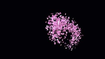 Animated Sakura Petals text letters typeface with alpha channel the character M video