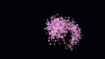 Animated Sakura Petals text letters typeface with alpha channel the character H video