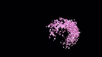 Animated Sakura Petals text letters typeface with alpha channel the character D video